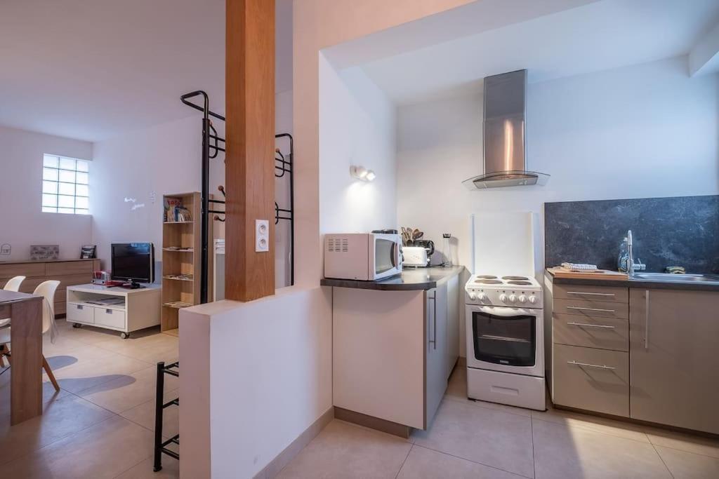 Le Dauphin Apartment Amboise Bagian luar foto