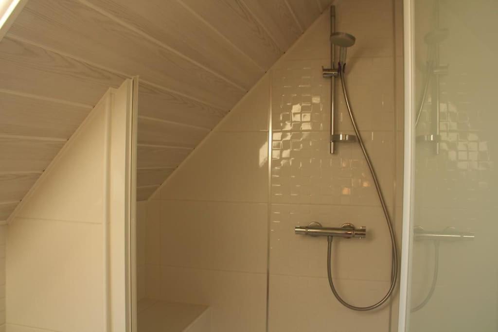 Le Dauphin Apartment Amboise Bagian luar foto
